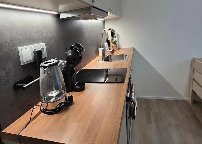 Mlyn 208 Apartment *